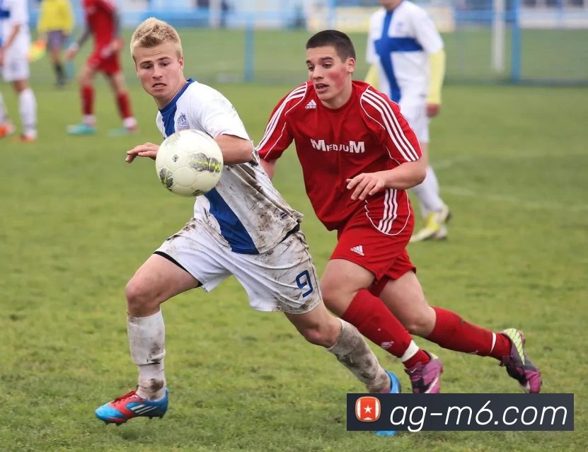 M6体育注册平台生态图